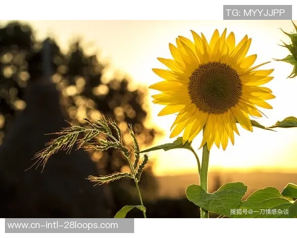 吉文：加纳乔穿得歪歪斜斜、链子挂外面，他换下的情绪让我很不爽